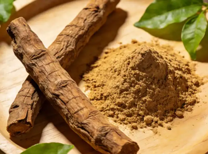 How to Make Tongkat Ali Extract?